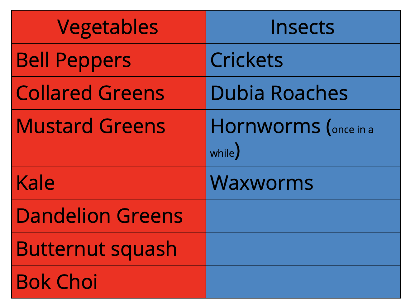 What Should I feed My Bearded Dragon? Jacob's Reptile Info