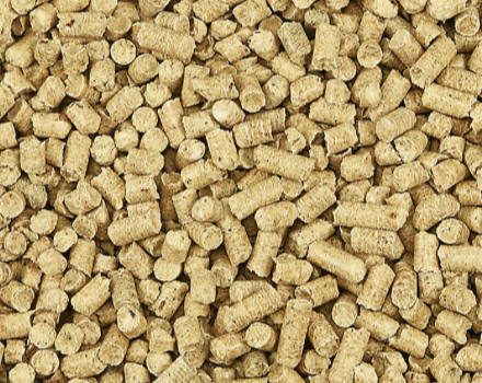 you can use wood pellets in your cricket container to stop the crickets from smelling